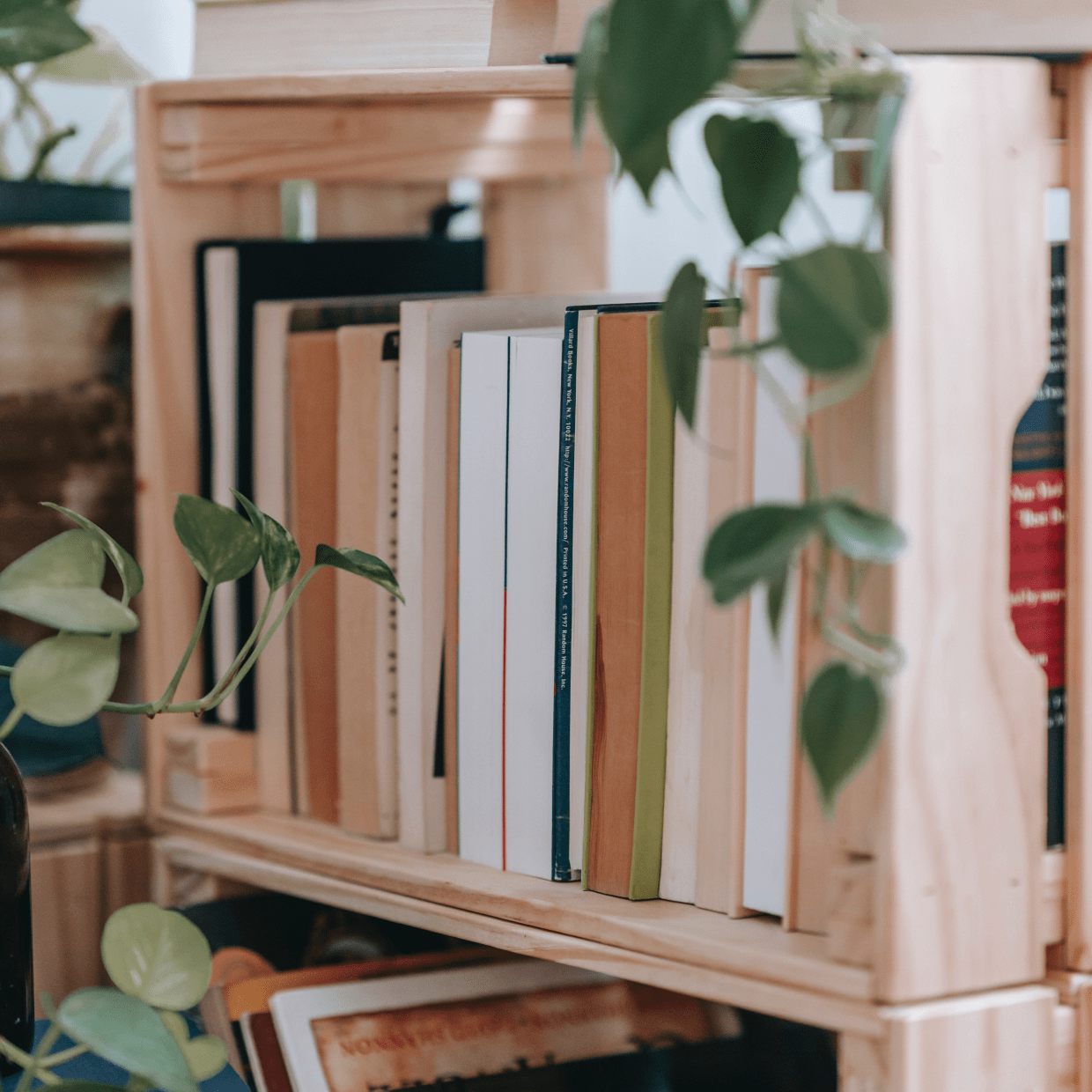 Photograph Inspiration To Learn New Angles